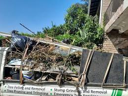 Best Shed Removal  in Madisonville, TX